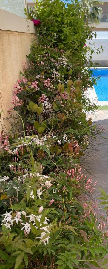 Villa Azul San Pedro del Pinatar Eksteriør billede